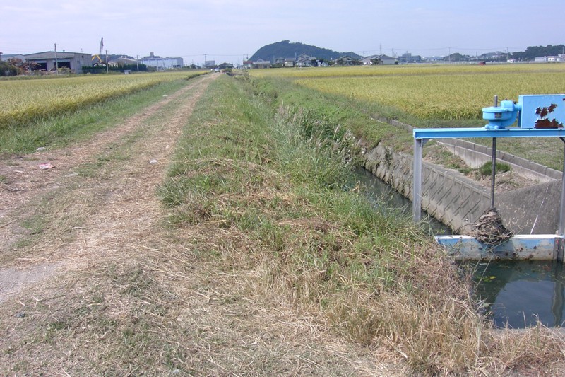 （第22回） 今にのこる1200年前の地割（じわり）のあと