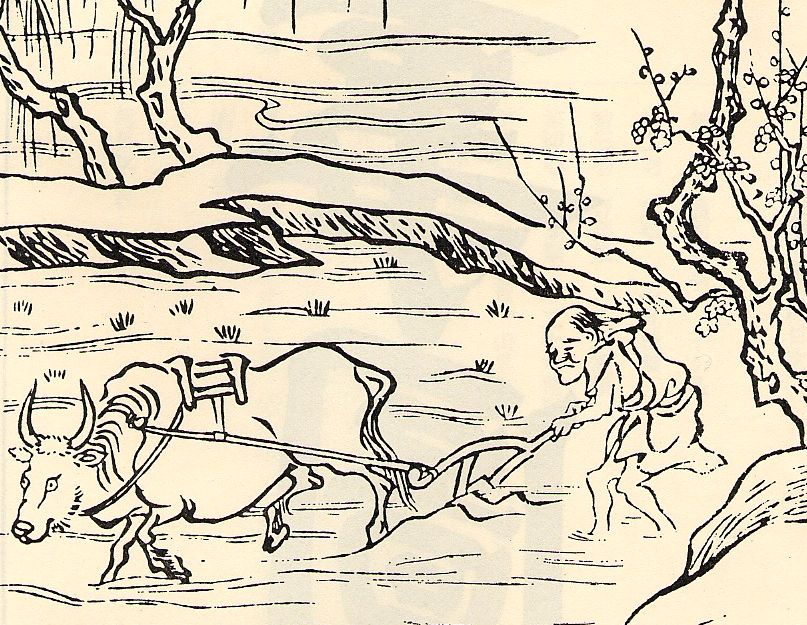 （第39回） 江戸時代後期、表粕屋郡における牛馬売買について（二）